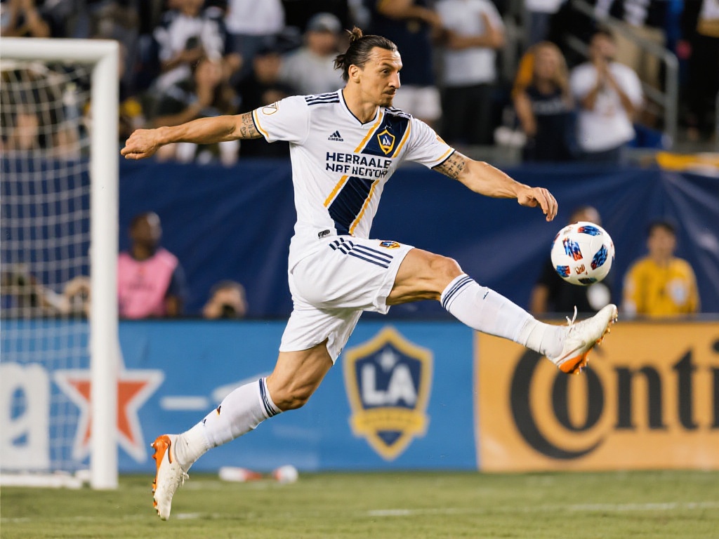 幼儿来说 幼儿来说